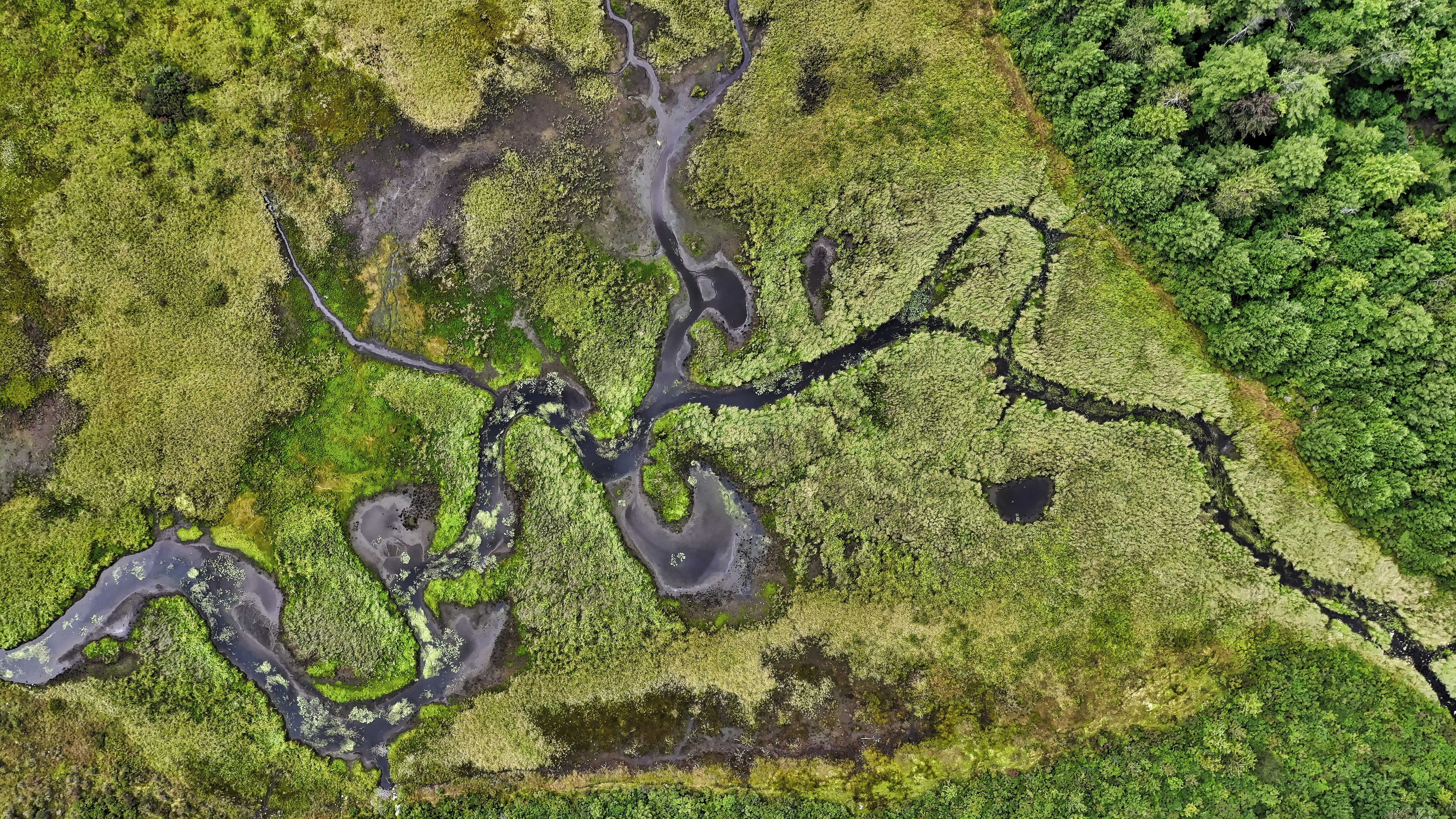 Aerial view of a river winding through a green scene with trees and grass