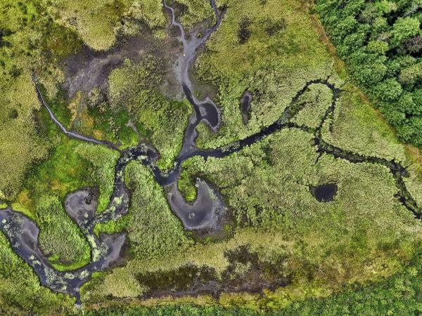 Aerial view of a river winding through a green scene with trees and grass
